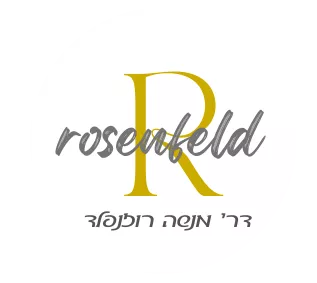 עורך ראשי